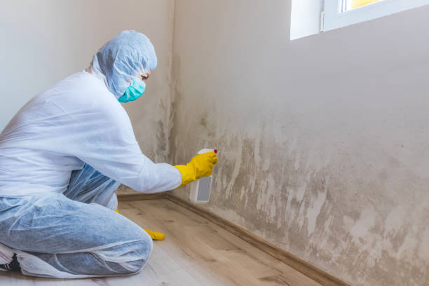 Licensed Bathroom Mold Removal service in Churchville, PA - WQB Mold Removal