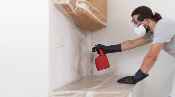Professional Bathroom Mold Removal technician working in Churchville, PA