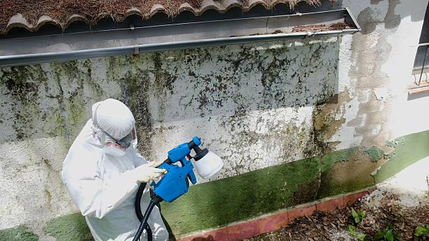 Top rated local Bathroom Mold Removal specialists in Churchville, PA